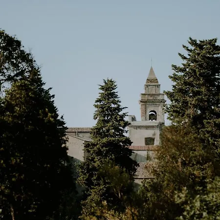Abbazia Santa Maria Del Bosco *